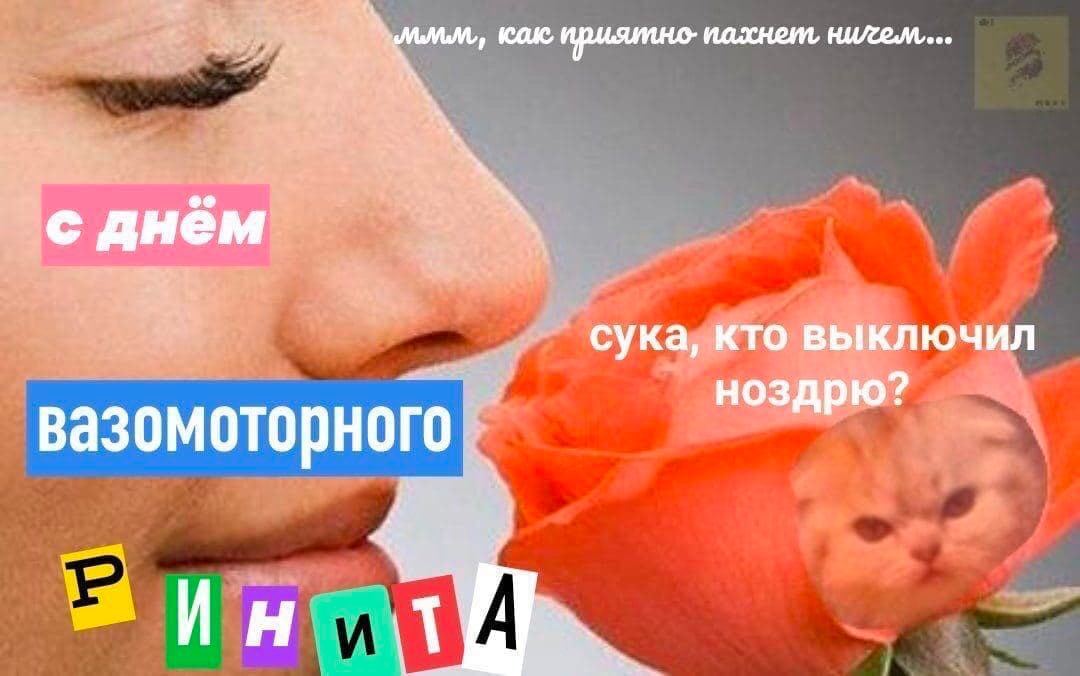 как с днём сука, кто выключил ноздрю? вазомоторного