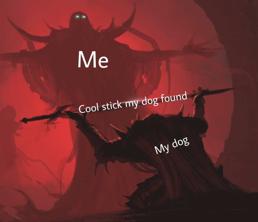 Cool stick MY dog found