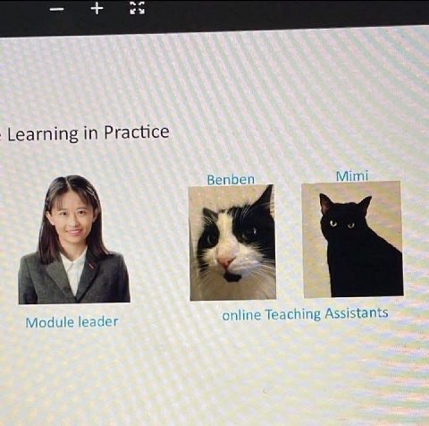 in Practice Benben Mimi Module leader online Teaching Assistants
