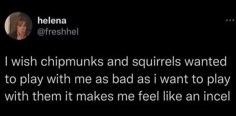 helena chipmunks and squirrels wanted to play with me as bad as want to play with them it makes me feel like an шсе