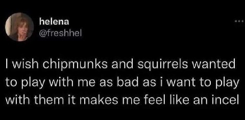 helena chipmunks and squirrels wanted to play with me as bad as want to play with them it makes me feel like an шсе