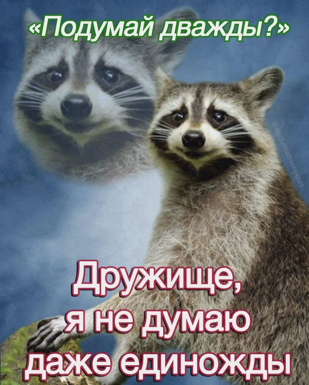 «Подумай дважды?» Дружище, „яне думаю даже единожды