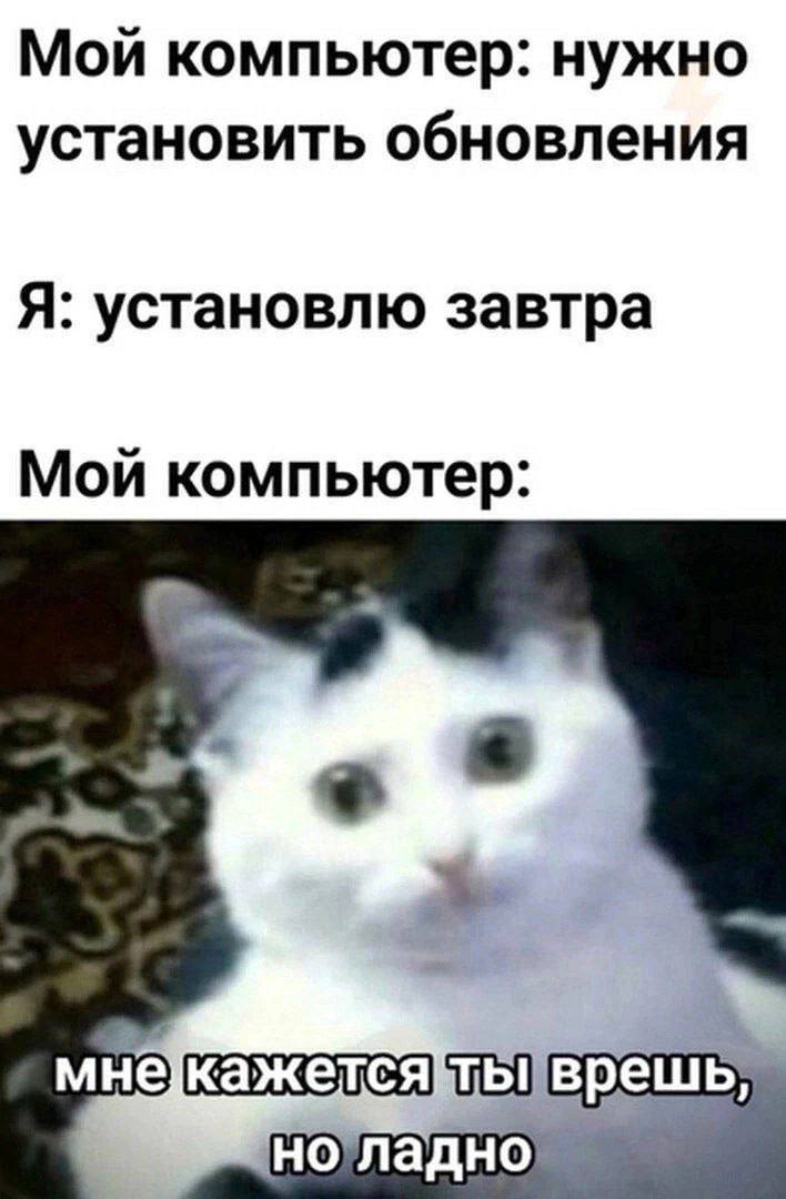 Мои компьютер: нужно установить обновления Я: установлю завтра Мои компьютер мне врешь
