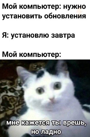 Мои компьютер: нужно установить обновления Я: установлю завтра Мои компьютер мне врешь