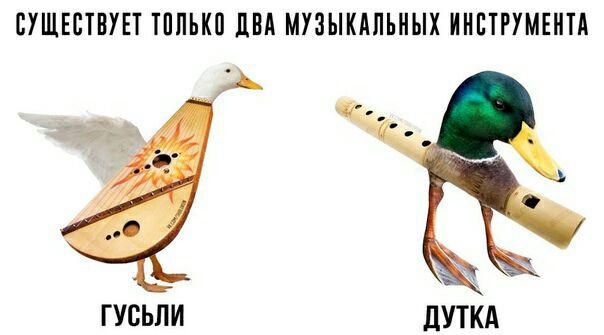 СУЩЕСТВУЕТ ТОЛЬКО ДВА МУЗЫКАЛЬНЫХ ИНСТРУМЕНТА ГУСЬЛИ ДУТКА