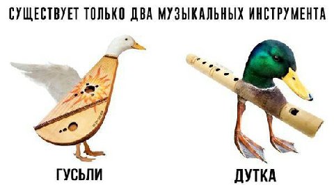 СУЩЕСТВУЕТ ТОЛЬКО ДВА МУЗЫКАЛЬНЫХ ИНСТРУМЕНТА ГУСЬЛИ ДУТКА