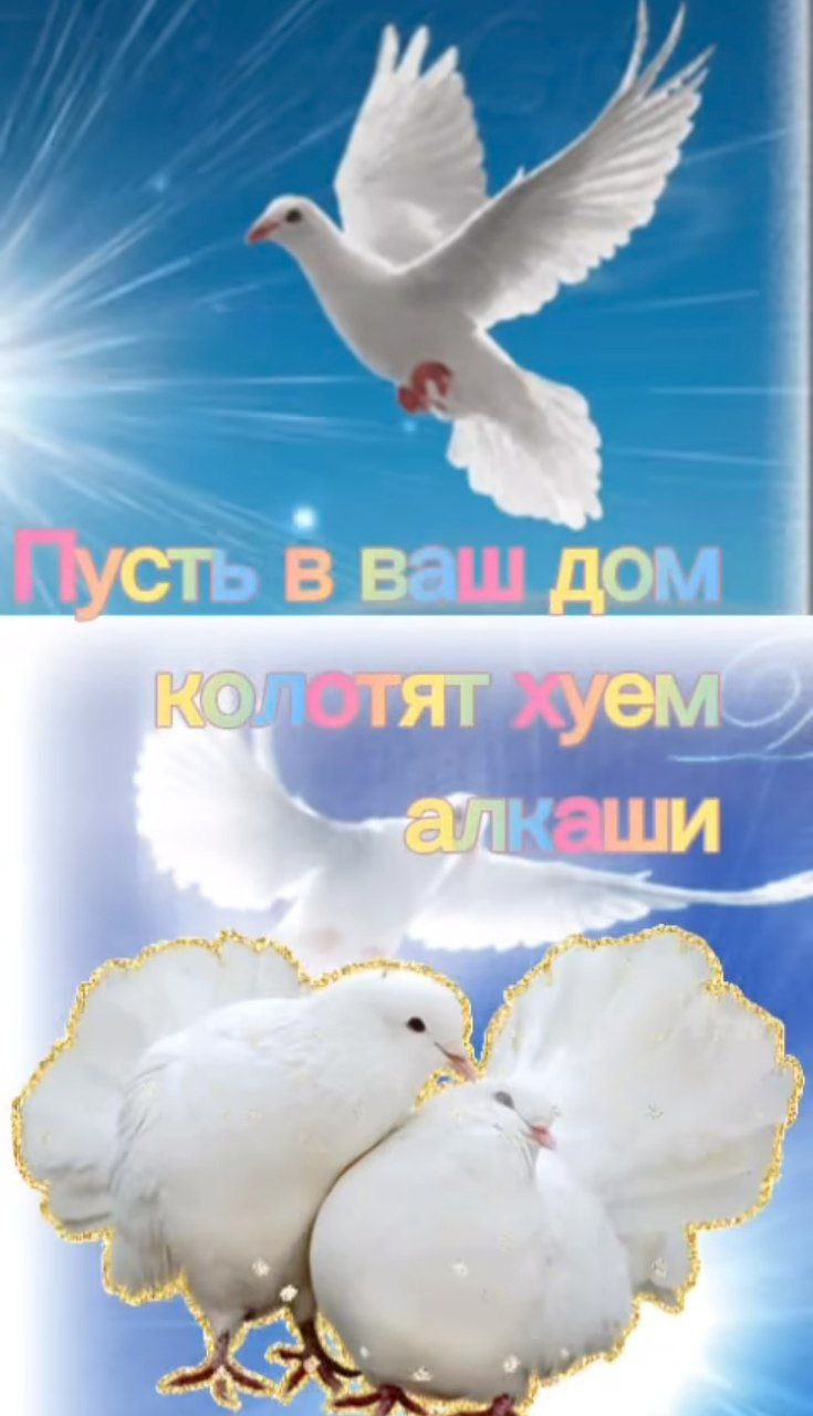 4 В Ваш До aT