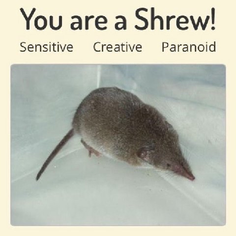 You are a Shrew! Sensitive Creative Paranoid