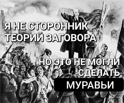 МУРАВЬИ 4