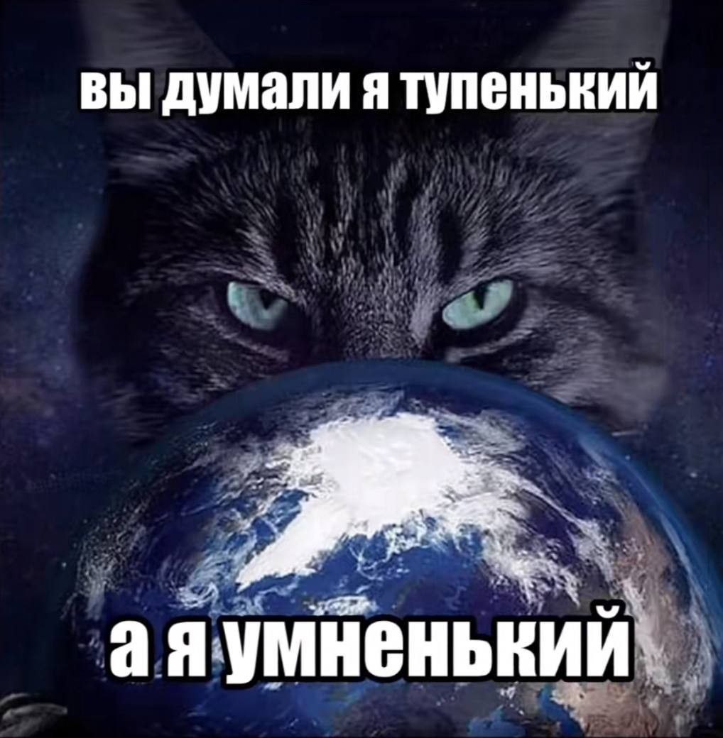 вы думали я тупенький 'аяумнен