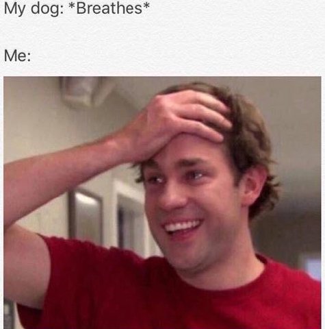 My dog: *Breathes* Me: