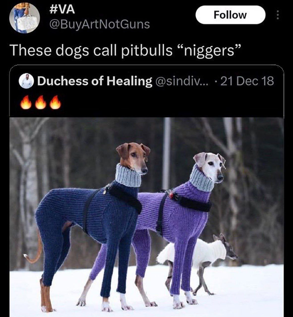 These dogs call pitbulls “niggers” Duchess of Healing