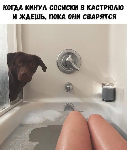 КОГДА КИНУЛ СОСИСКИ В КАСТРЮЛЮ И ЖДЕШЬ, ПОКА ОНИ СВАРЯТСЯ