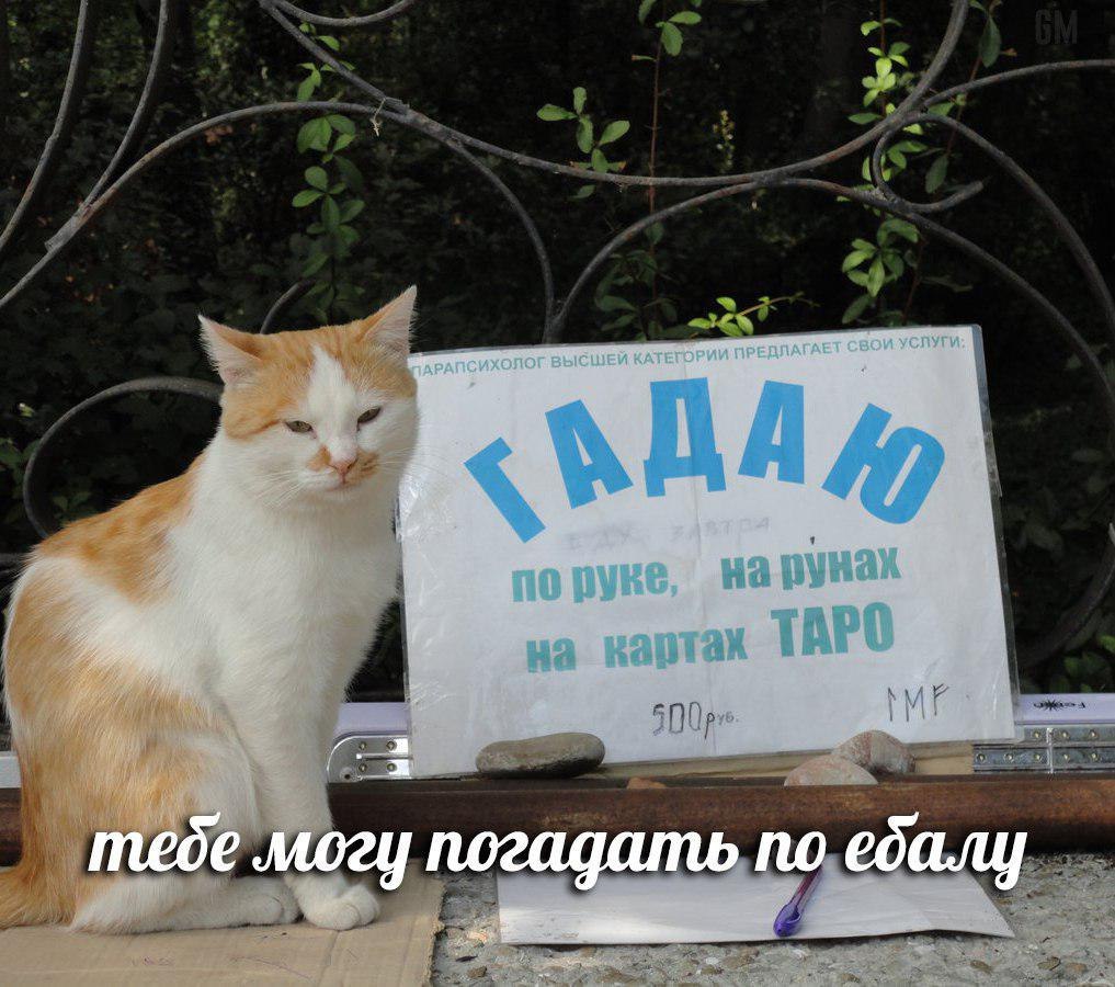 по тебе могу погадать алу