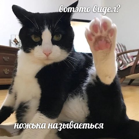 —ножька называеться