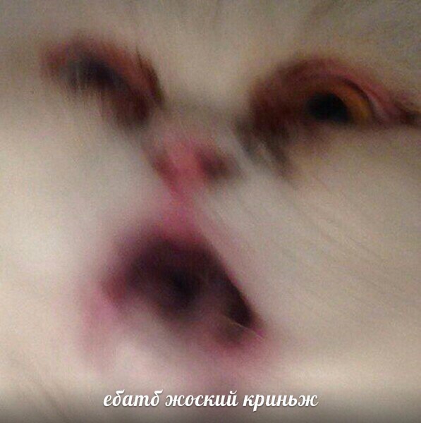 ебатд жоский криньж