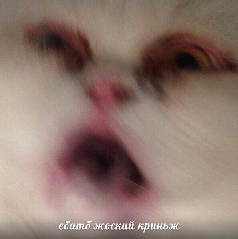 ебатд жоский криньж