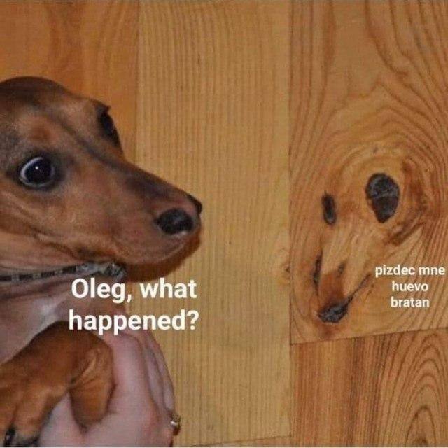 pizdec mine Oleg, what huevo bratan happened?