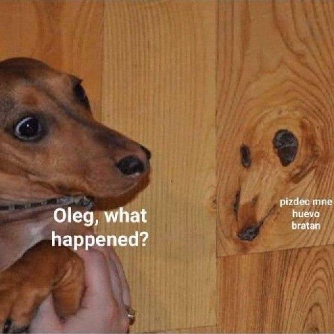 pizdec mine Oleg, what huevo bratan happened?