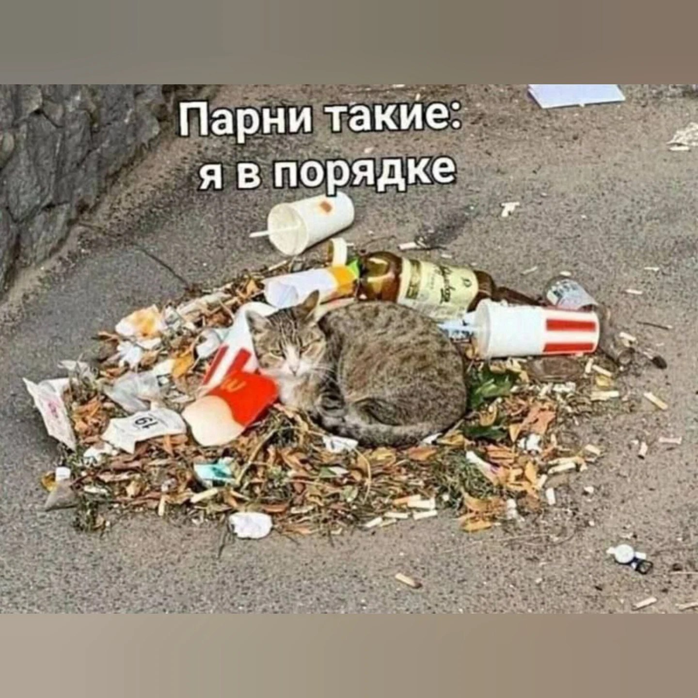 Парни такие: я в порядке fin,