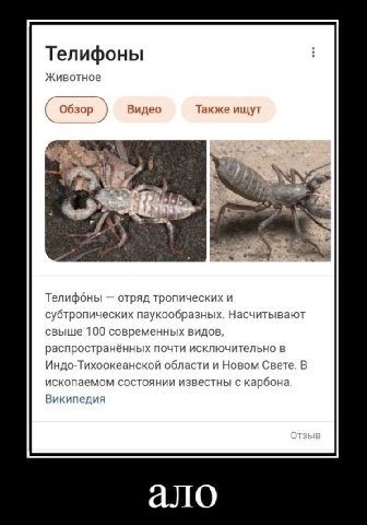 Телифоны Животное Обзор Видео Также ищут и) 2- Телифоны отряд тропических и субтропических паукообразных. Насчитывают свыше 100 современных видов, распространённых почти исключительно в Индо-Тихоокеан