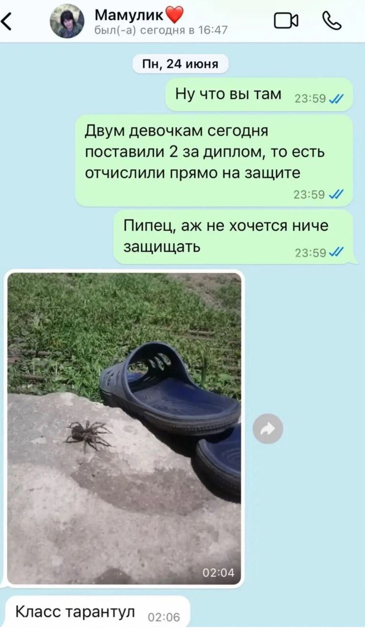был(- сегодня в 16:47 24 июня Ну что вы там 23:59 Двум девочкам сегодня поставили 2 за диплом, то есть отчислили прямо на защите 59 Пипец, не хочется ниче защищать 02:04 Класс тарантул