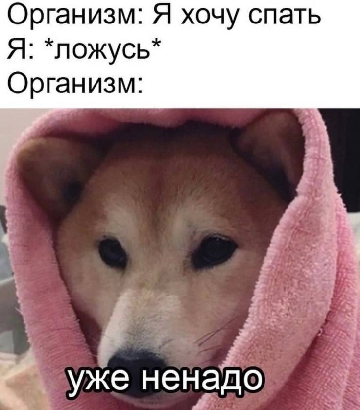 Организм: Я хочу спать Я: *ложусь* Организм: уже не надо
