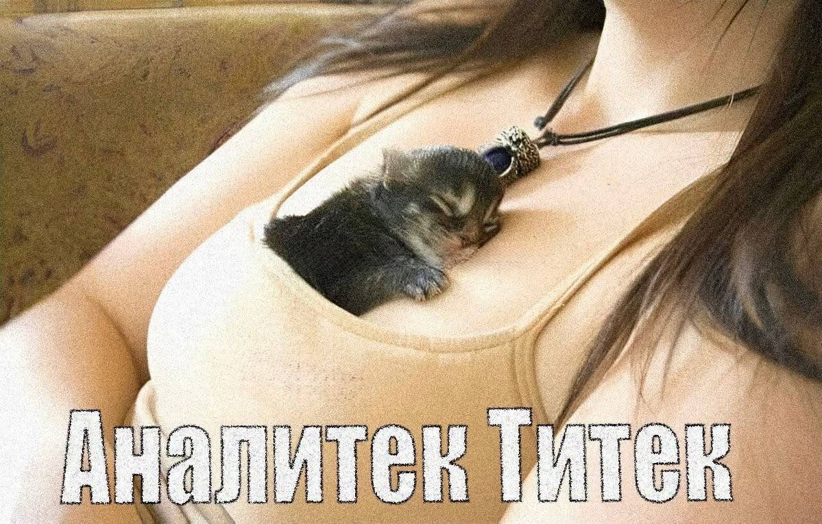 Профессия есть такая…