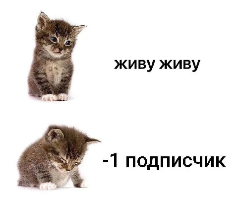живу живу -1 подписчик