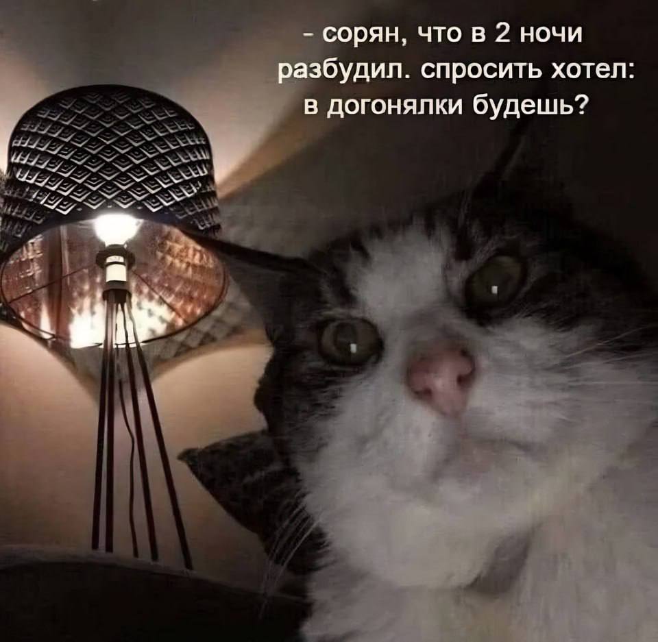 сорян, что в 2 ночи разбудил. спросить хотел: в догонялки будешь? a