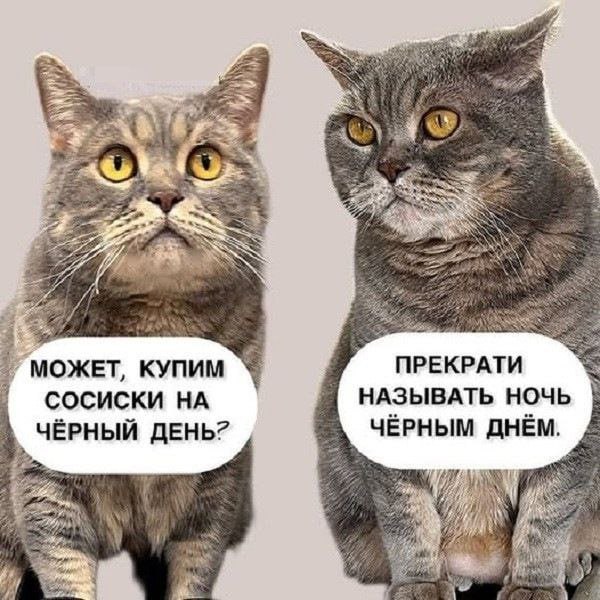 Ake МОЖЕТ, КУПИМ ПРЕКРАТИ НАЗЫВАТЬ НОЧЬ СОСИСКИ НА ЧЁРНЫМ ДНЁМ. ЧЁРНЫЙ ДЕНЬ? A