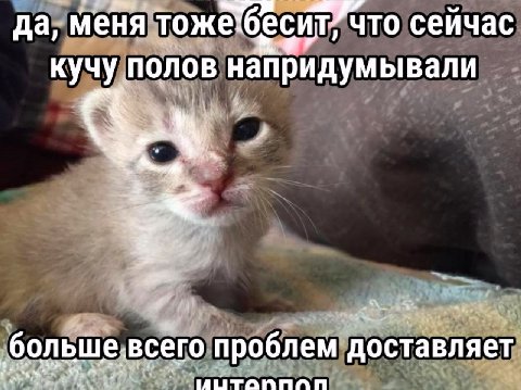 да, меня то сеичас кучу полов напридумывали 3 я ‚больще: всего проблем доставляет