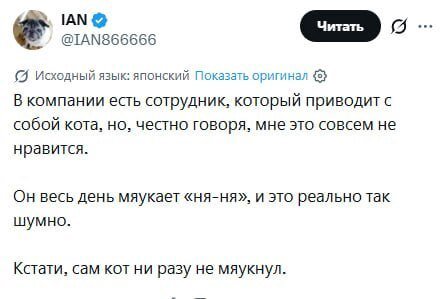 IAN Исходный язык: японский Показать оригинал В компании есть сотрудник, который приводит с собой кота, но, честно говоря, мне это совсем не нравится. Он весь день мяукает «ня-ня», и это реально так ш