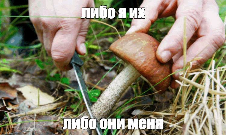либо они