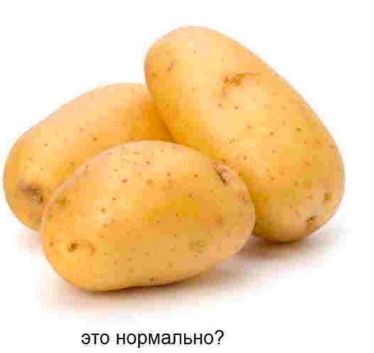 это нормально?
