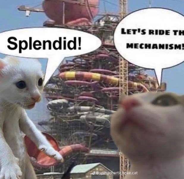 Splendid! ke.cat spinacharticho