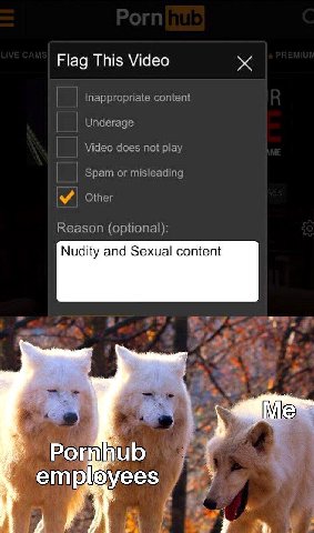 Flag This Video Inappropriate content Underage Video does not play Spam or misleading Other Reason (optional): Nudity and Sexual content 4 ‘employees