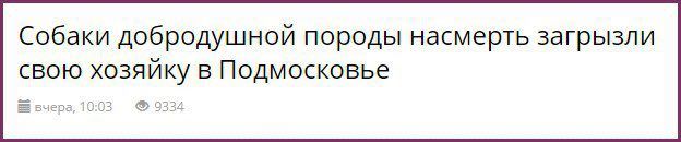 Собаки добродушной породы насмерть загрызли свою хозяйку в Подмосковье