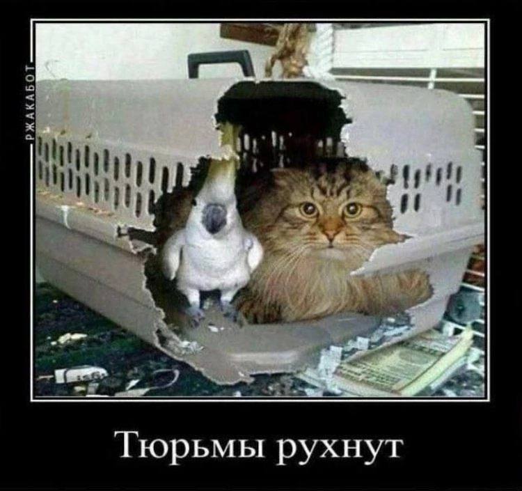 20 Тюрьмы рухнут