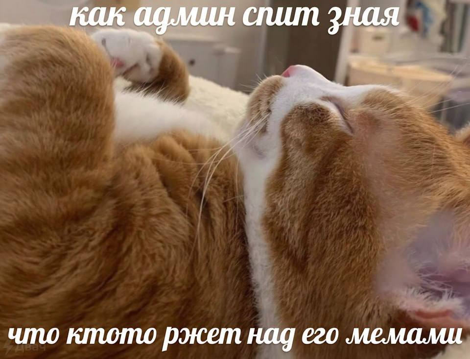 Vag Чая у С! что ктото ржет над его