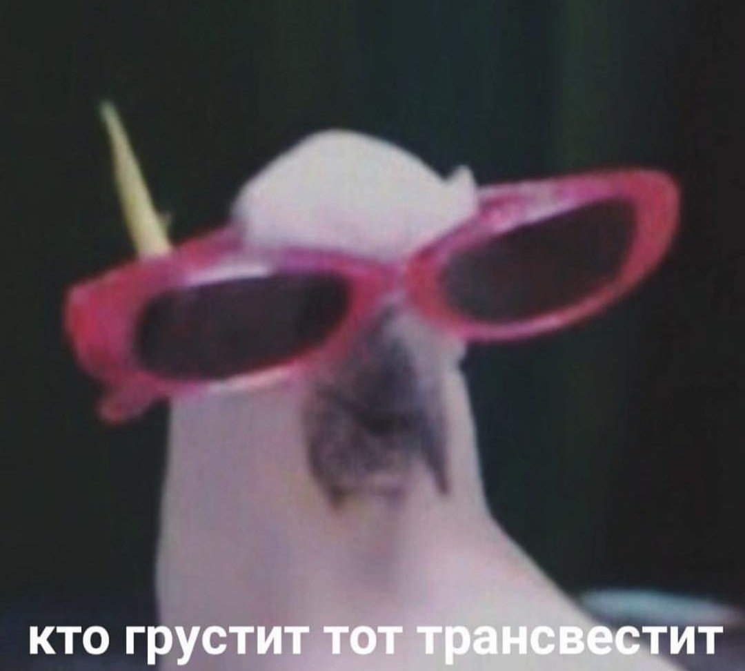 кто грустит тот трансвестит