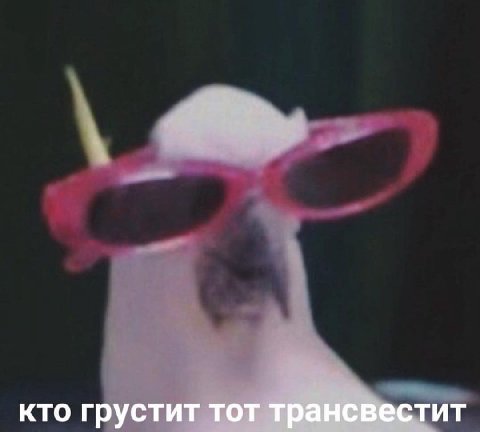 кто грустит тот трансвестит