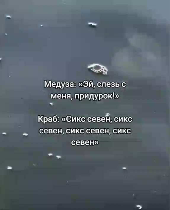 Медуза: «Эй, слезы с меня, придурок!» Краб: «Сикссевен, сикс Медуза: «Эй cnespic) севен, сикс севен, сикс Медуза: «Эй; слезьс Медуза елезье