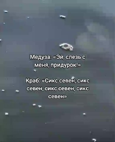 Медуза: «Эй, слезы с меня, придурок!» Краб: «Сикссевен, сикс Медуза: «Эй cnespic) севен, сикс севен, сикс Медуза: «Эй; слезьс Медуза елезье
