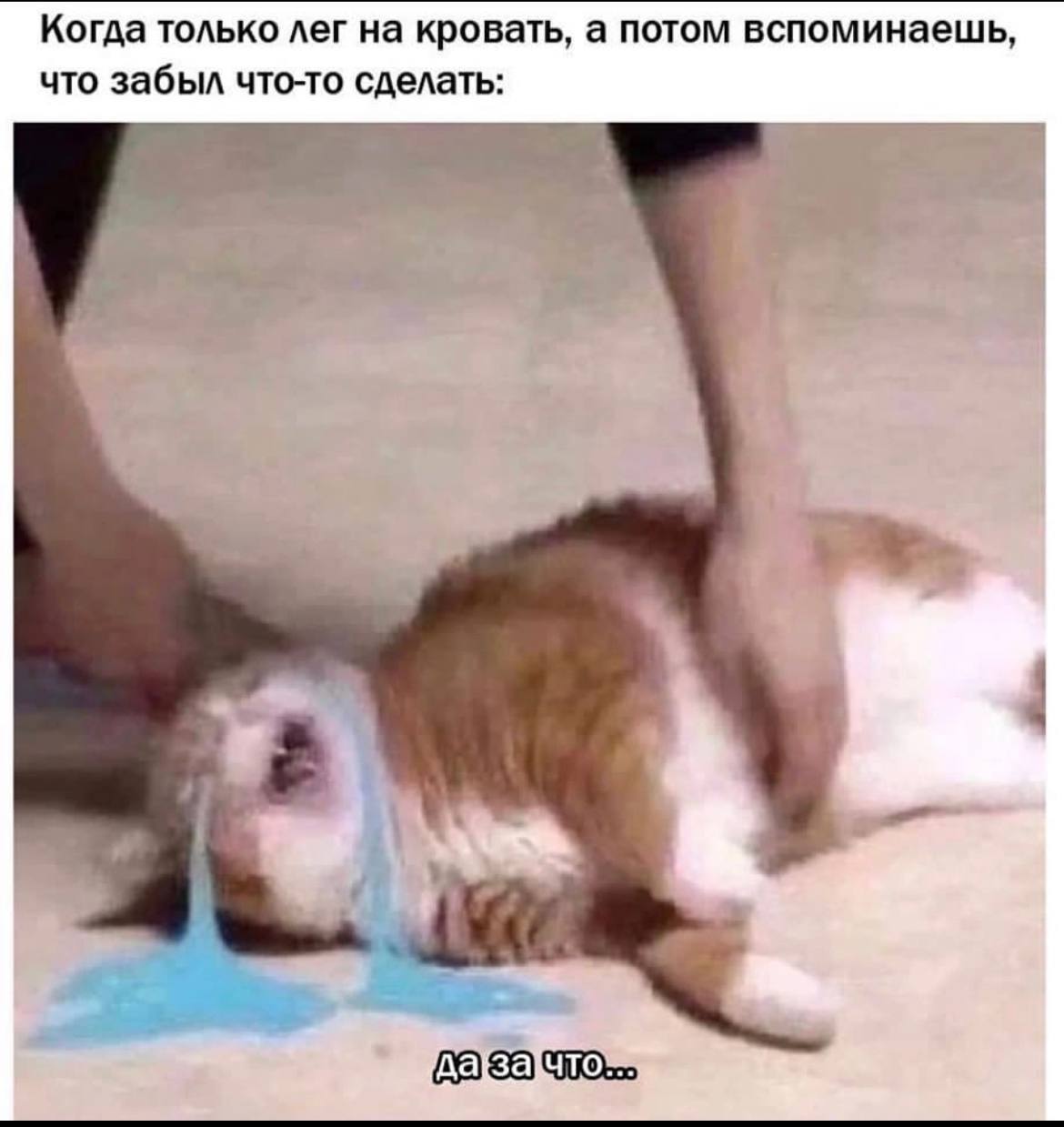 Когда только лег на кровать, а потом вспоминаешь, что забыл что-то сделать: