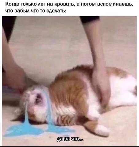 Когда только лег на кровать, а потом вспоминаешь, что забыл что-то сделать: