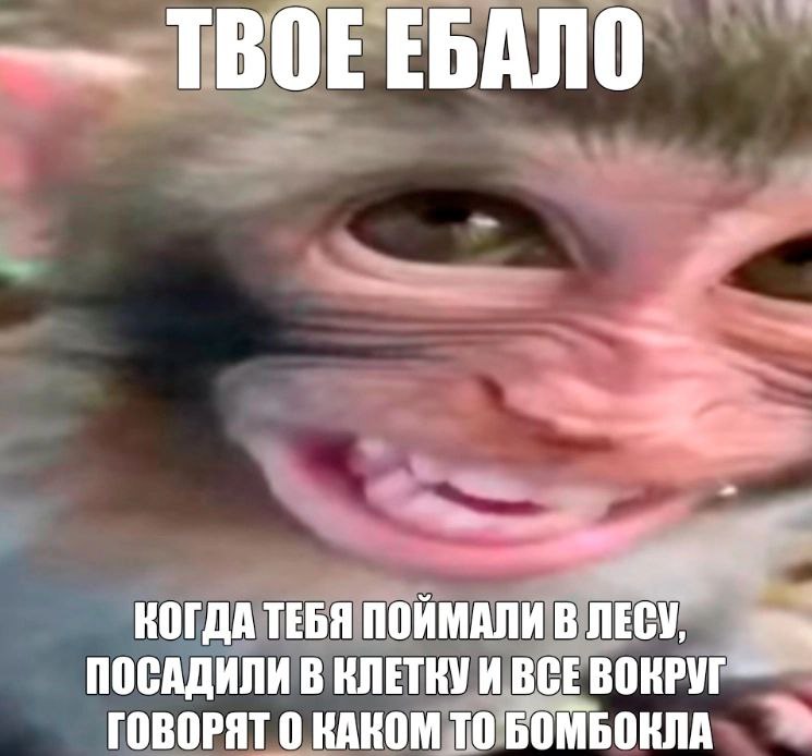 ТВОЕЕБАЛО у КОГДА ТЕБЯ ПОЙМАЛИ В ПОСАДИЛИ В КЛЕТКУ И ВСЕ ВОКРУГ ГОВОРЯТ 0 КАКОМ ТО
