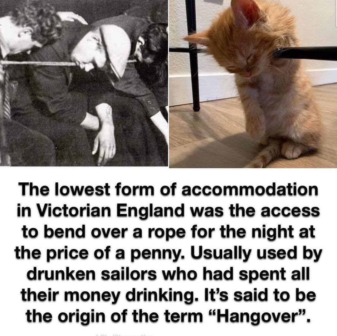 The lowest form of accommodation in Victorian England was the access to bend over a rope for the night at the price of a penny. Usually used drunken sailors who had spent all their money drinking. It’