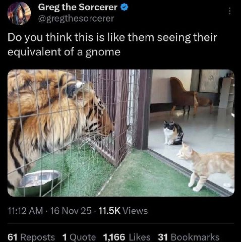 7 Greg the Sorcerer @gregthesorcerer you think this is like them seeing their equivalent of a gnome Я i 11:12 16 Nov 25 11.5К Views 61 Reposts 1,166 Likes 31 Bookmarks