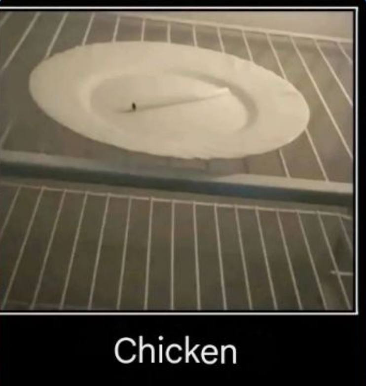 Chicken